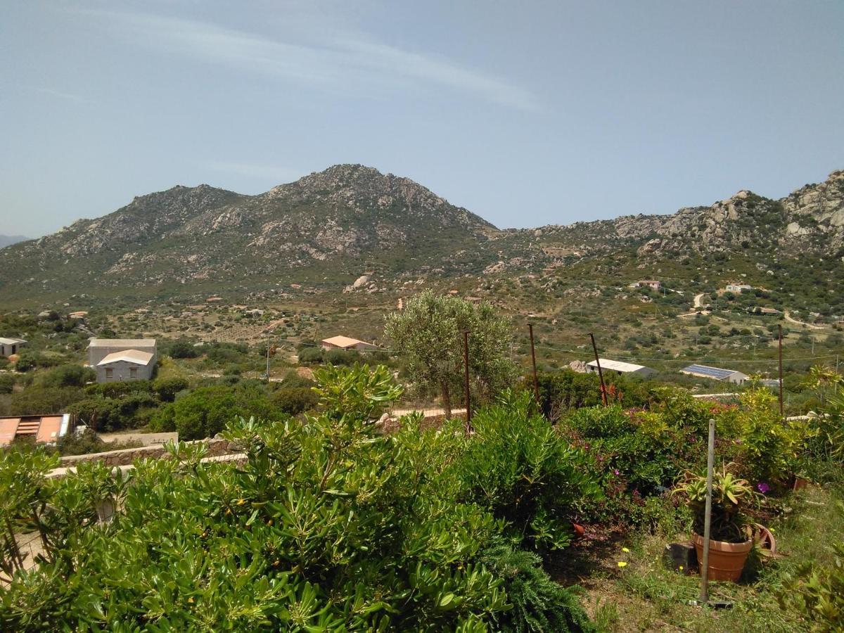 Villetta Osseddu 2 Olbia Bagian luar foto
